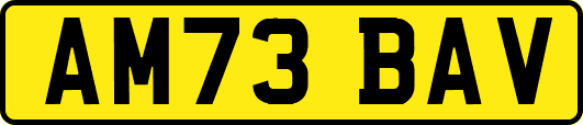AM73BAV