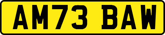AM73BAW