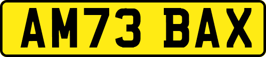 AM73BAX