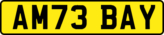 AM73BAY