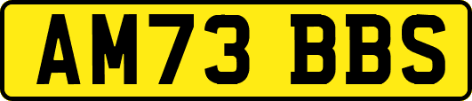 AM73BBS