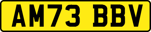AM73BBV