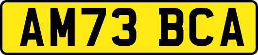 AM73BCA