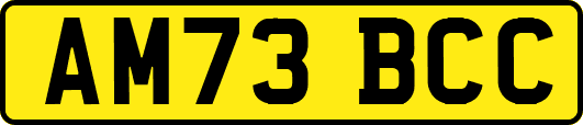 AM73BCC