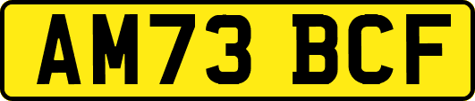 AM73BCF