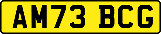 AM73BCG