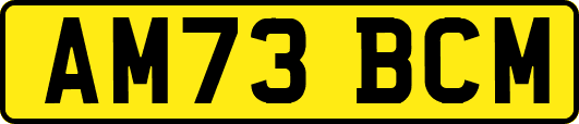 AM73BCM