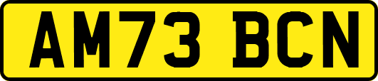 AM73BCN