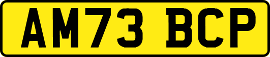 AM73BCP