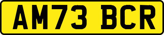 AM73BCR