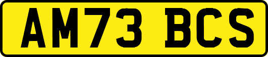 AM73BCS
