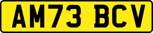 AM73BCV