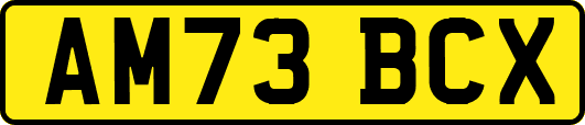 AM73BCX