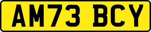 AM73BCY