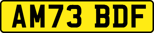 AM73BDF