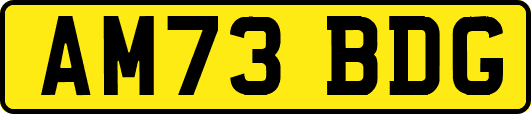 AM73BDG