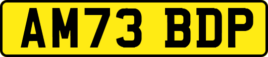 AM73BDP