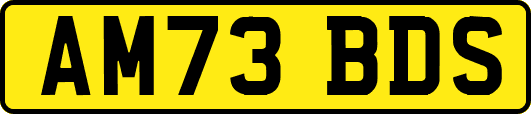 AM73BDS