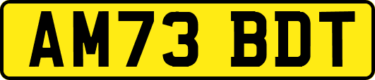 AM73BDT