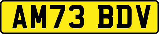 AM73BDV