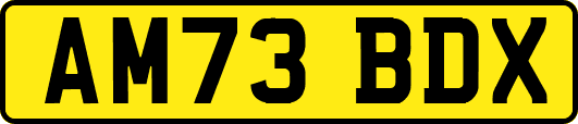 AM73BDX