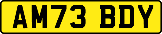 AM73BDY