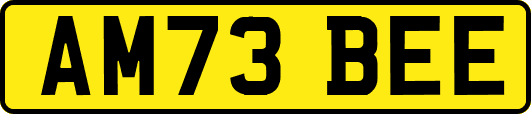 AM73BEE