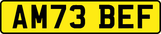 AM73BEF