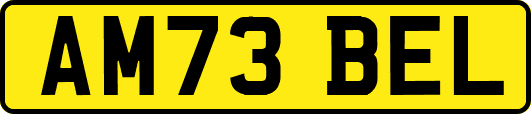 AM73BEL