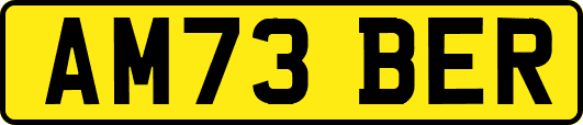 AM73BER