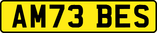 AM73BES