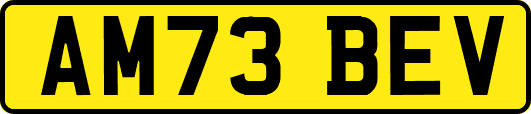 AM73BEV
