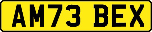 AM73BEX