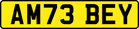 AM73BEY