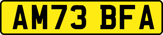 AM73BFA