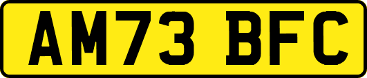 AM73BFC