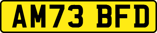 AM73BFD
