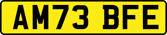 AM73BFE