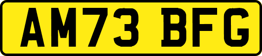 AM73BFG