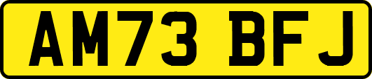 AM73BFJ