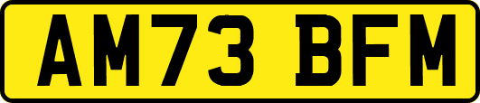 AM73BFM