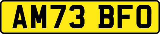 AM73BFO