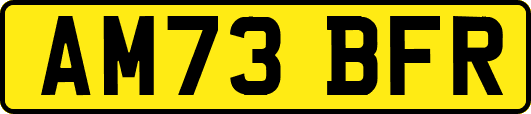 AM73BFR
