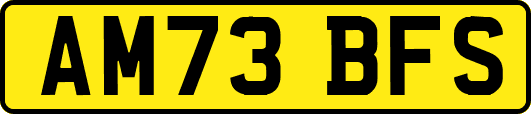 AM73BFS