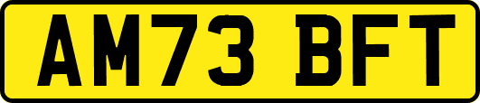 AM73BFT