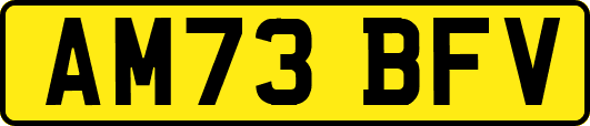 AM73BFV