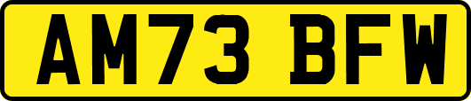 AM73BFW