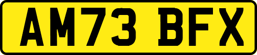AM73BFX