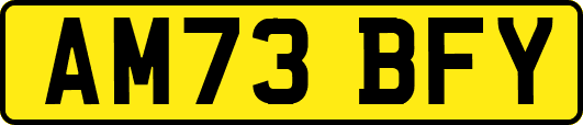 AM73BFY