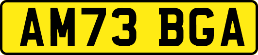 AM73BGA